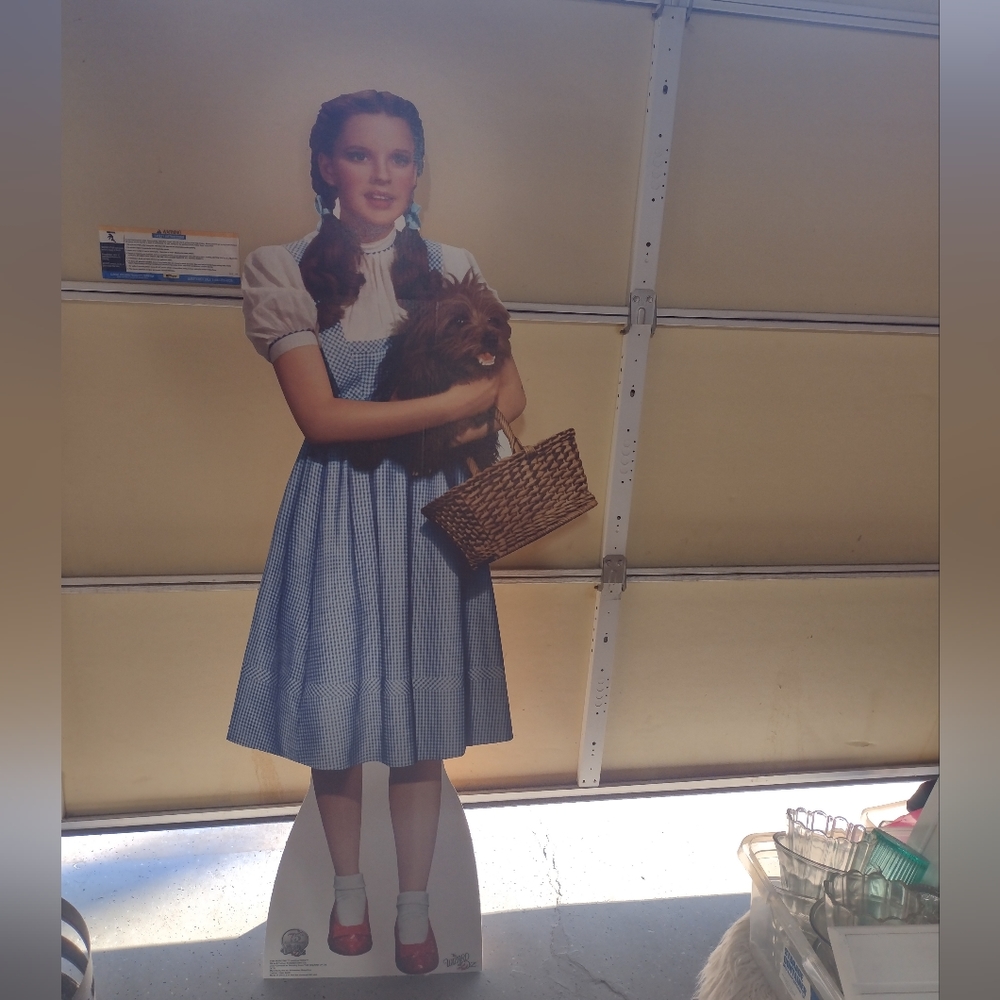 Cardboard Dorothy